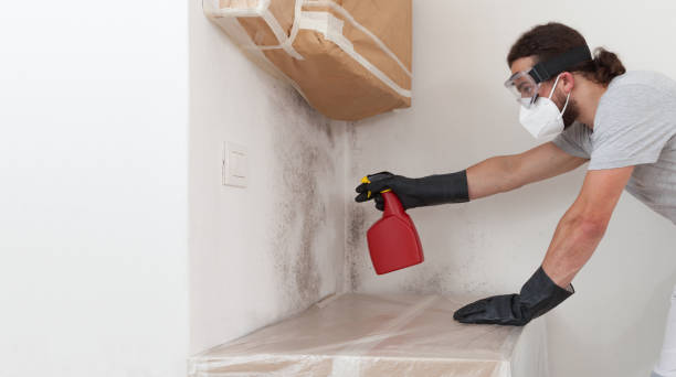 Professional Crawl Space Mold Remediation technician working in Fanwood, NJ