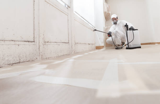 24/7 Emergency Crawl Space Mold Remediation experts in Fanwood, NJ
